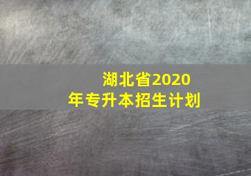 湖北省2020年专升本招生计划