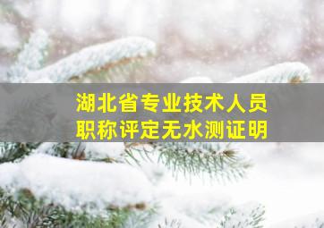 湖北省专业技术人员职称评定无水测证明