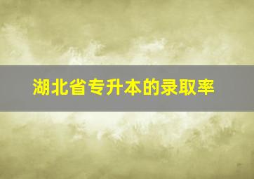 湖北省专升本的录取率