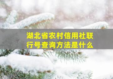 湖北省农村信用社联行号查询方法是什么