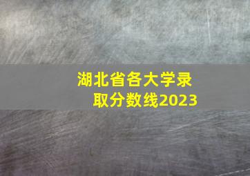 湖北省各大学录取分数线2023