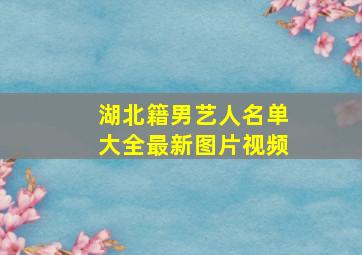 湖北籍男艺人名单大全最新图片视频