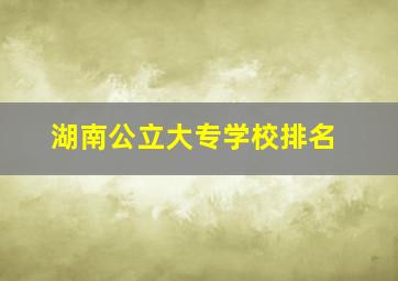 湖南公立大专学校排名