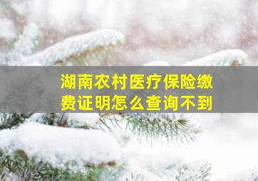 湖南农村医疗保险缴费证明怎么查询不到