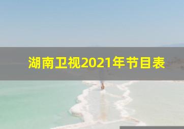 湖南卫视2021年节目表