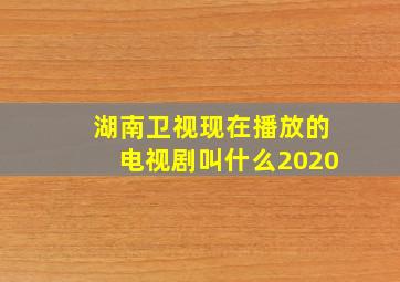 湖南卫视现在播放的电视剧叫什么2020