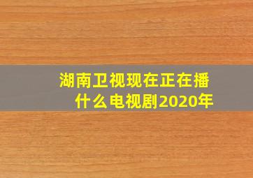 湖南卫视现在正在播什么电视剧2020年