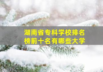 湖南省专科学校排名榜前十名有哪些大学