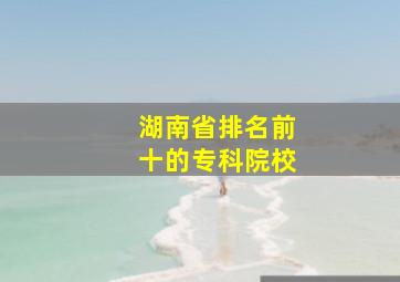 湖南省排名前十的专科院校