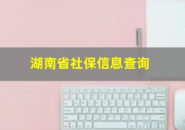 湖南省社保信息查询