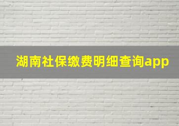 湖南社保缴费明细查询app