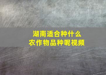 湖南适合种什么农作物品种呢视频