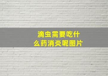 滴虫需要吃什么药消炎呢图片