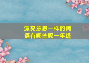 漂亮意思一样的词语有哪些呢一年级