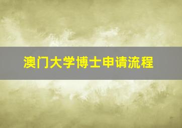 澳门大学博士申请流程