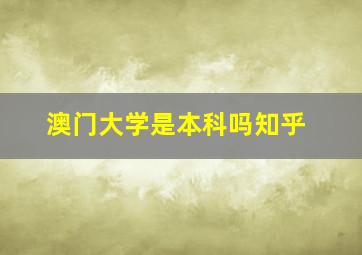 澳门大学是本科吗知乎