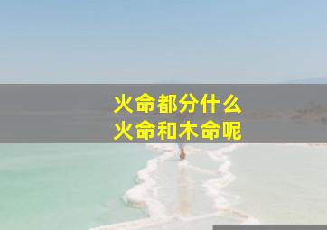 火命都分什么火命和木命呢