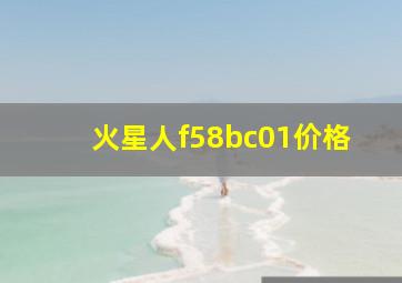 火星人f58bc01价格