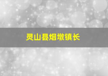 灵山县烟墩镇长