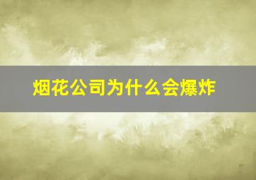 烟花公司为什么会爆炸