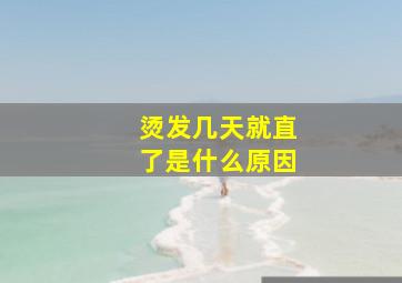 烫发几天就直了是什么原因