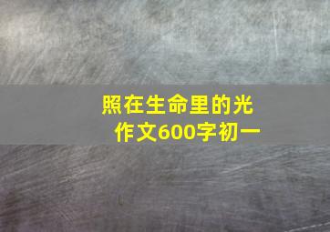 照在生命里的光作文600字初一