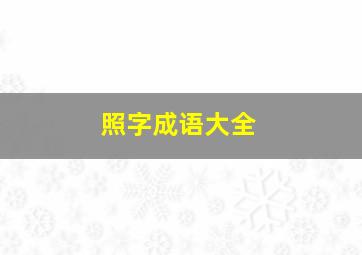 照字成语大全