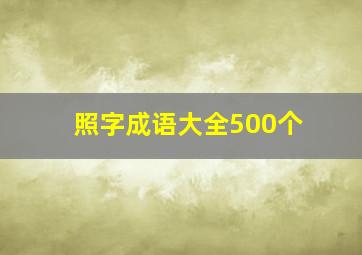 照字成语大全500个