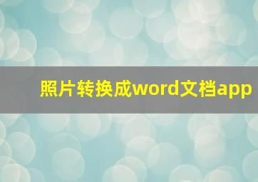 照片转换成word文档app