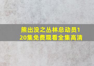 熊出没之丛林总动员120集免费观看全集高清