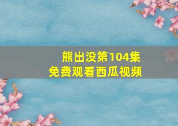 熊出没第104集免费观看西瓜视频