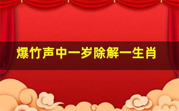 爆竹声中一岁除解一生肖