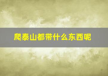 爬泰山都带什么东西呢