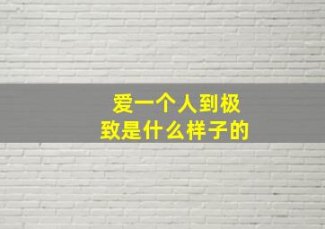 爱一个人到极致是什么样子的