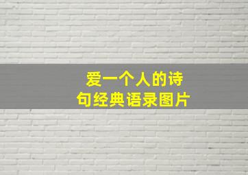 爱一个人的诗句经典语录图片