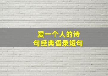 爱一个人的诗句经典语录短句