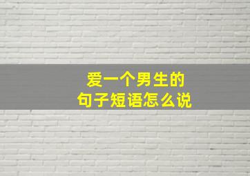 爱一个男生的句子短语怎么说