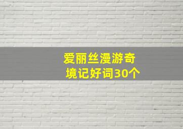 爱丽丝漫游奇境记好词30个