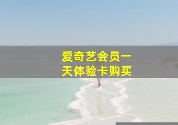 爱奇艺会员一天体验卡购买