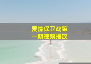 爱情保卫战第一期视频播放