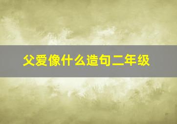 父爱像什么造句二年级