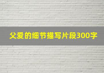 父爱的细节描写片段300字