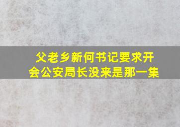 父老乡新何书记要求开会公安局长没来是那一集