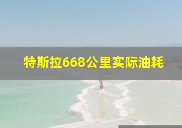 特斯拉668公里实际油耗