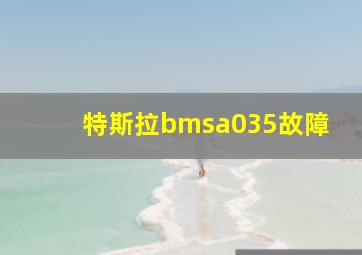 特斯拉bmsa035故障