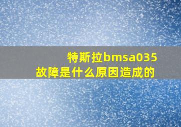 特斯拉bmsa035故障是什么原因造成的