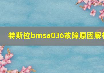 特斯拉bmsa036故障原因解析