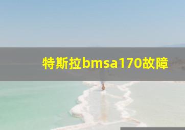 特斯拉bmsa170故障