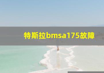 特斯拉bmsa175故障