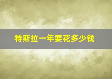 特斯拉一年要花多少钱